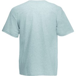T-shirt homme coton gris clair SC6
